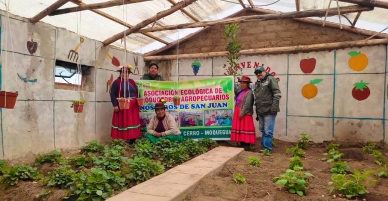 Más de 300 mil soles otorgados por Agro Rural impulsan emprendimientos de mujeres productoras