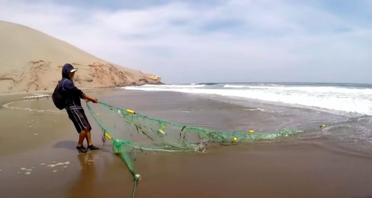 Pescadores denuncian uso de red corrida prohibida en playas de Mollendo