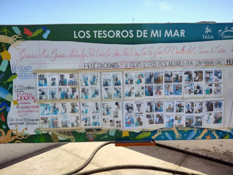 Pescadores de El Faro recolectan 5638 kilos de residuos en Matarani