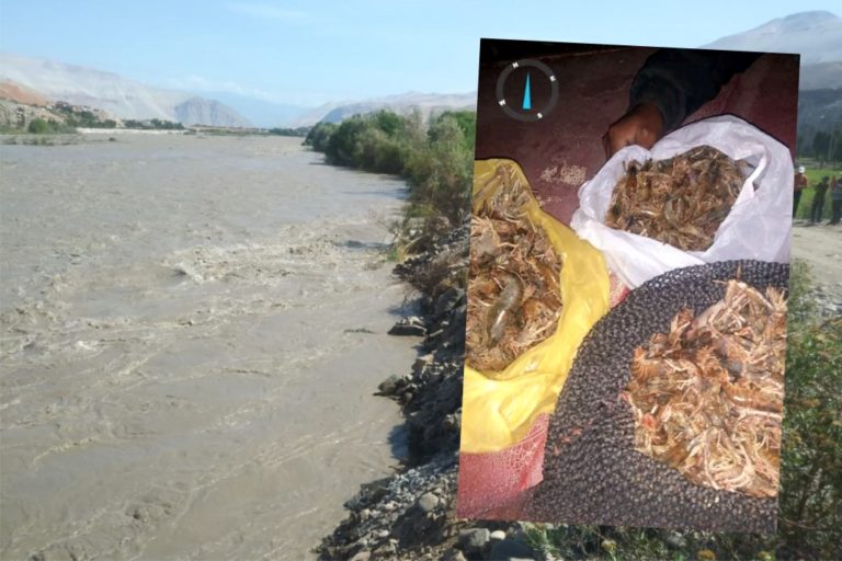 Pescadores de Omate y Coalaque denuncian contaminación del río Tambo