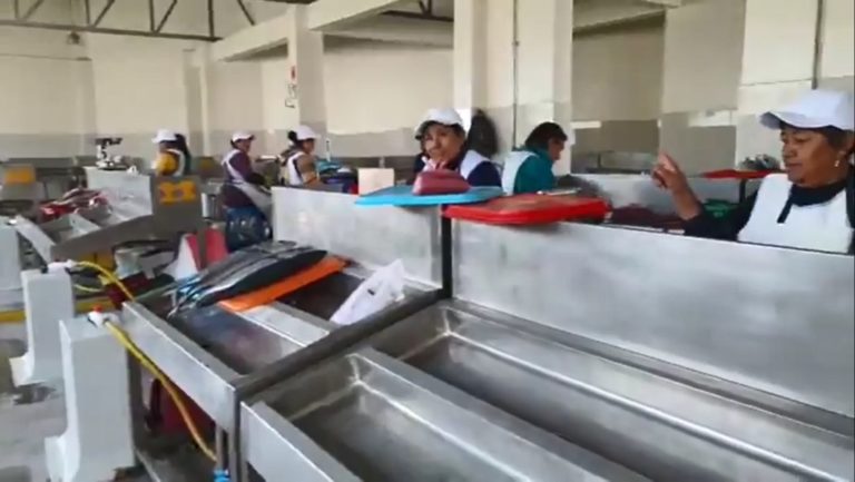 Dejan El Lenguadito: un grupo de comerciantes retornan al varadero