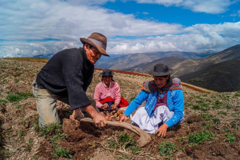 Moquegua: hoy homenaje a los agricultores por el Día del Campesino