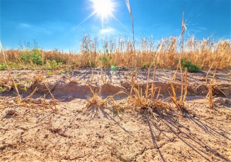 Sequía amenaza agricultura arequipeña
