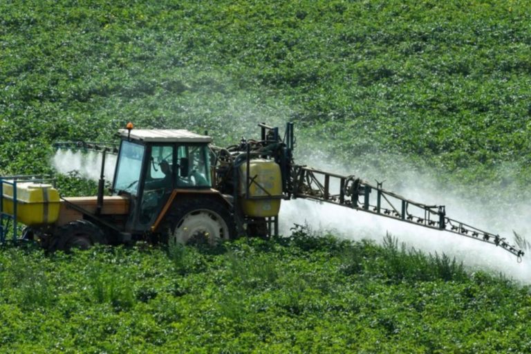 Charla sobre el uso de insecticidas en Cocachacra