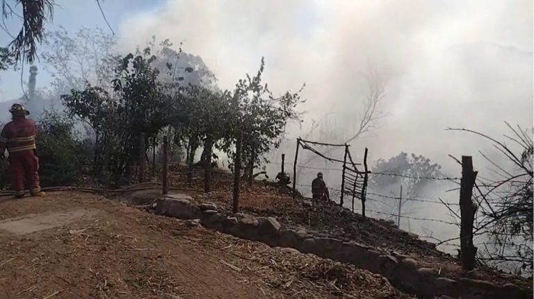 Nuevo incendio forestal se registró en Moquegua 