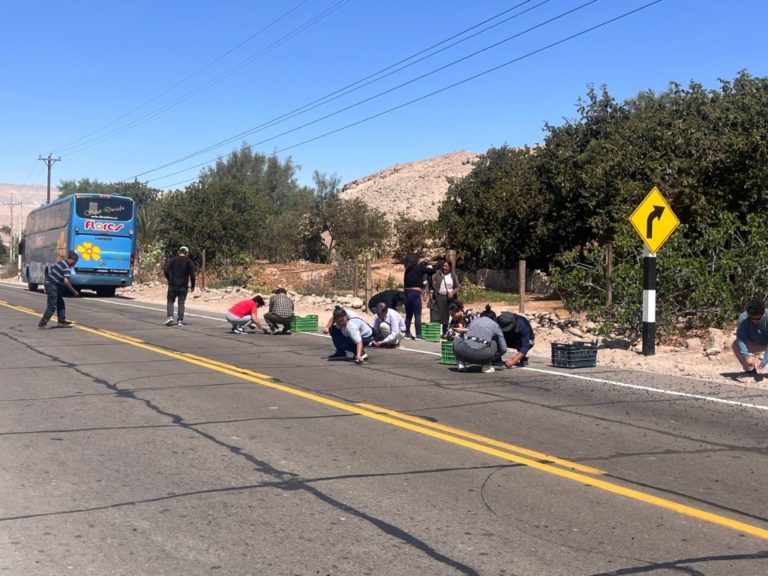 Bodega de bus de Flores Hermanos se abre y caen 6 cajas llenas de arándanos