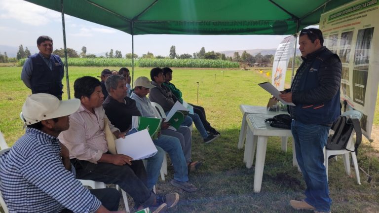 Agricultores se capacitan sobre control de plagas y elaboración de biol en Punta de Bombón