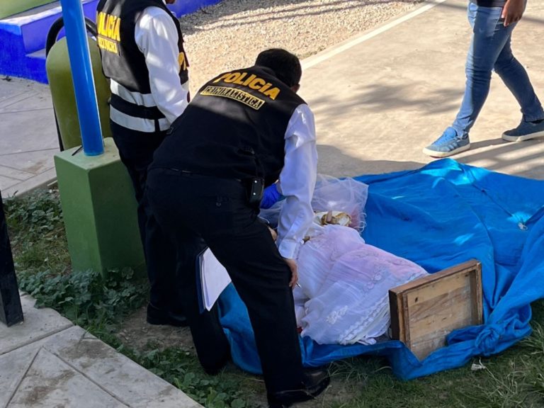 Encuentran imagen de la Virgen de Chapi que fue robada de la Co catedral