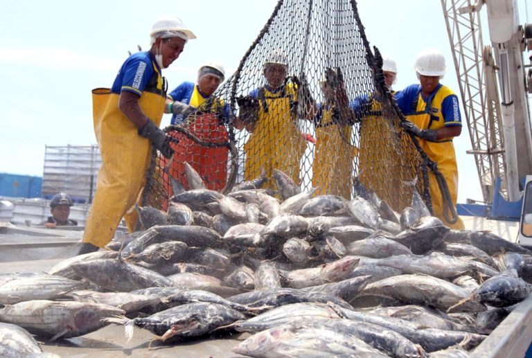 Gobierno oficializó pensión mínima de S/ 360 para pescadores