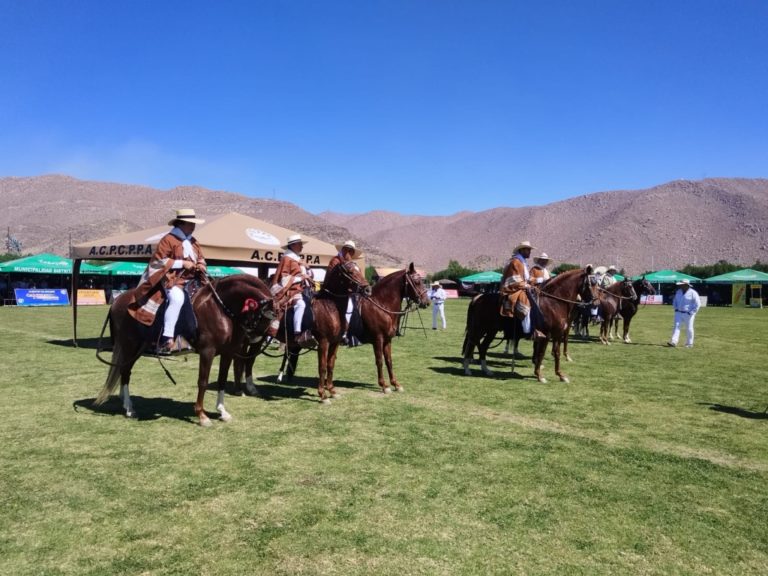 Hoy continúa el XVI Concurso Provincial del Caballo Peruano de Paso