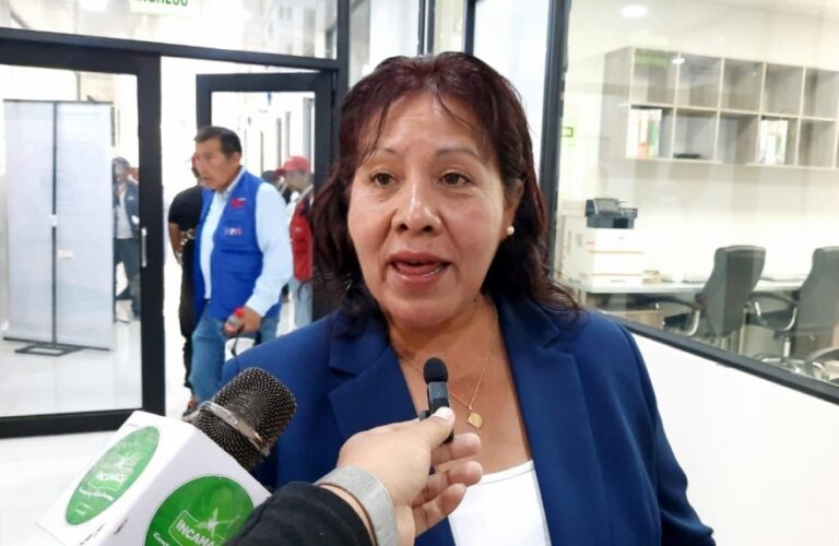 Alcaldesa sobre carretera Omate-Arequipa: “Estamos siendo mecidos, creo que es momento de tomar medidas radicales”