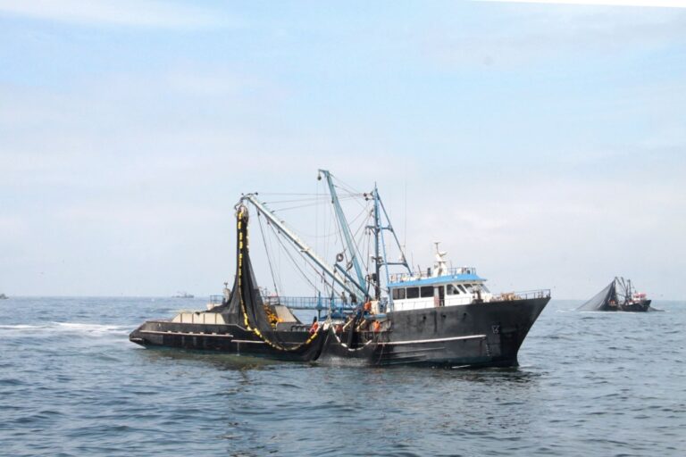 La pesca en el sur en crisis: -60 %
