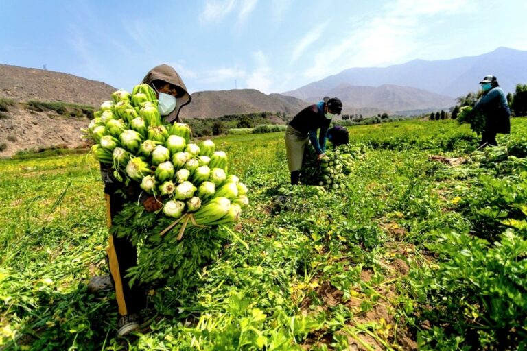 ¿Seguridad alimentaria en Moquegua? ¿Competitividad agrícola? (Parte 1/4)
