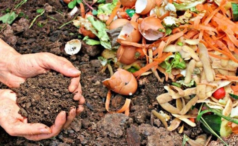 Cocachacra: elaboran compost con producto obtenido de mantenimiento de parques y jardines