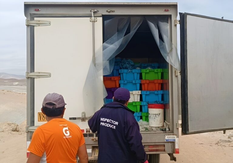 Produce decomisa 650 kg de jurel en sector “La Olla”