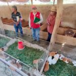 GORE Moquegua ejecuta Procompite 13102023 (2)