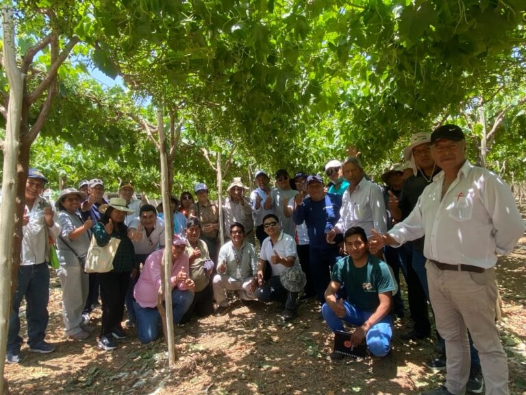 Agricultores del valle de Tambo visitaron fundos de Ica