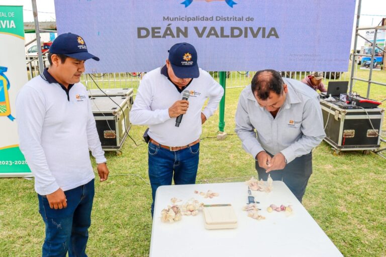 Deán Valdivia: municipio calificó de exitoso el I Festival del Ajo