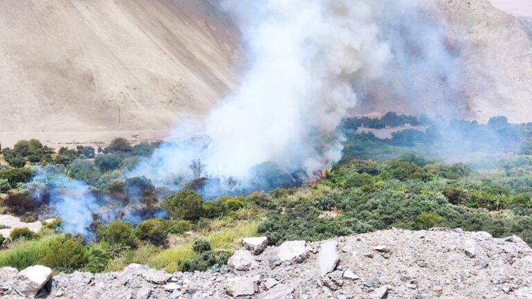 Incendio forestal de grandes proporciones se registró en el valle de Ilo