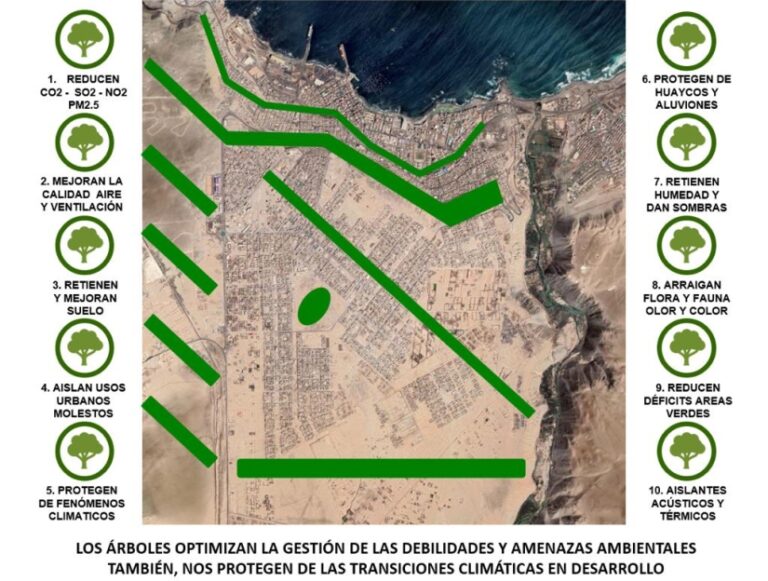 La estrategia del árbol: decálogo para la sobrevivencia
