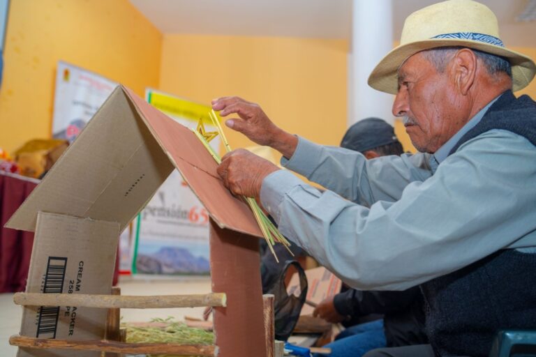 Pensión 65 reconoció labor que desarrolla Southern Perú para capacitar a adultos mayores
