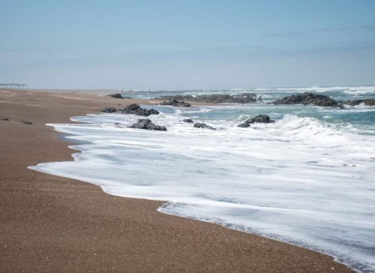 Solo cinco playas de Tacna califican como saludables