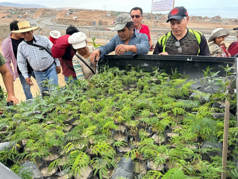 Rotary Club Puerto Bravo realizó jornada de arborización en Avis Costanera 