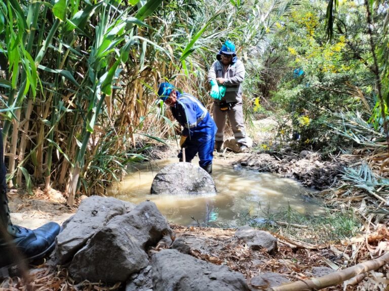 Moquegua: agricultores del sector Chimba Alta hurtan agua residual para regar sembríos