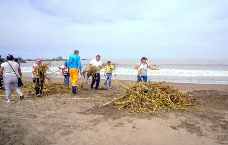 Rápida limpieza de desechos en playa Boca del Río tras ingreso del río Osmore