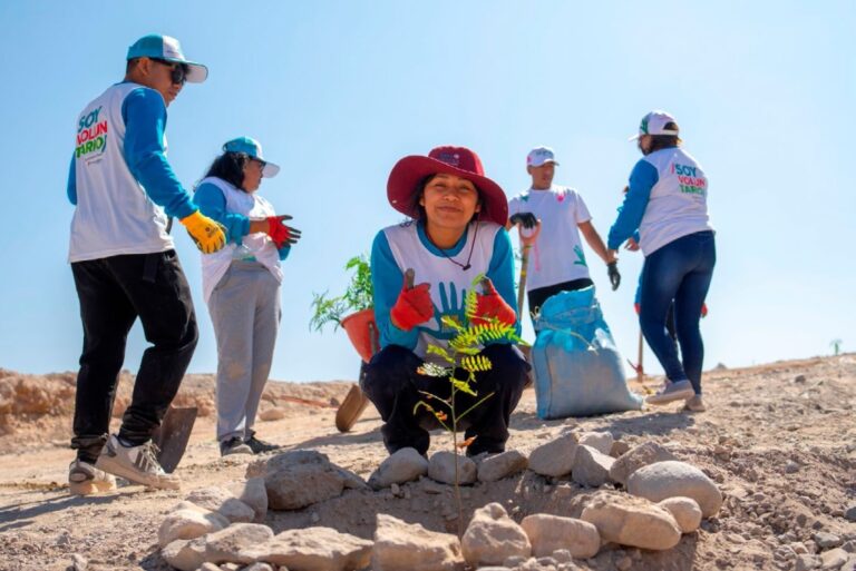 Jóvenes voluntarios de Southern Perú sembraron más de 260 arbolitos en Chen Chen