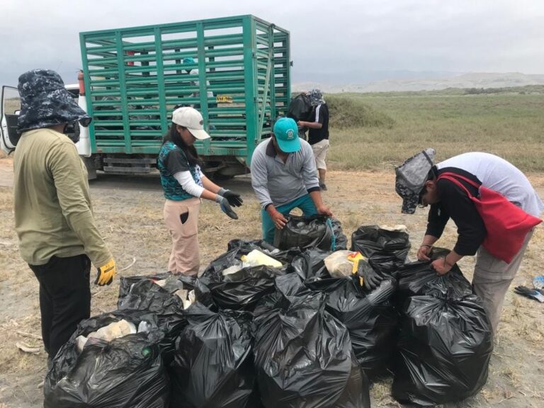 UNSA y municipio de Deán Valdivia realizan limpieza en lagunas de Mejía
