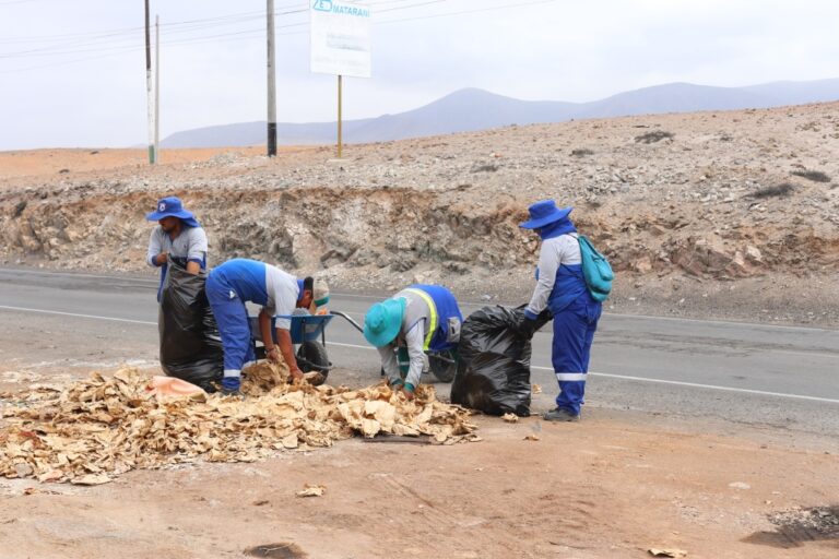 Realizan faena de limpieza en la carretera antigua Mollendo – Matarani 
