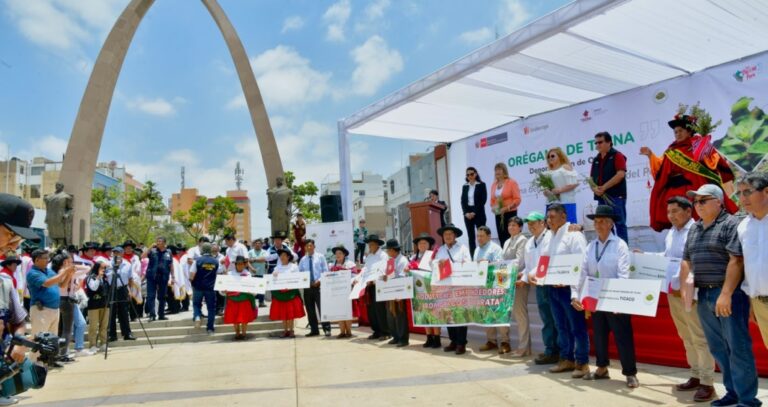 Orégano de Tacna logra denominación de origen
