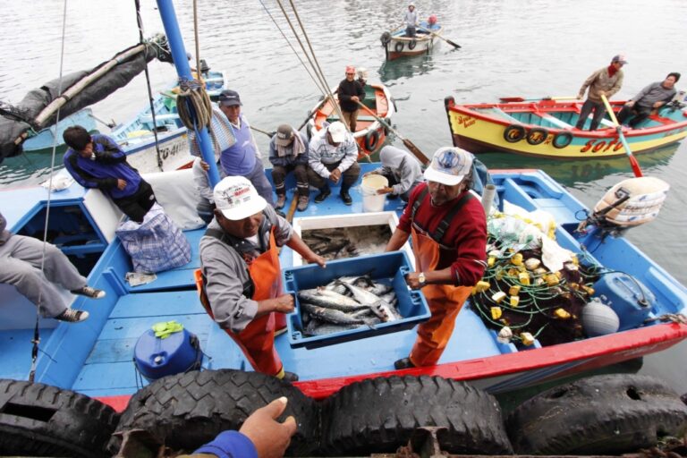 Produce prevé capacitar a más de 15,000 acuicultores y pescadores artesanales