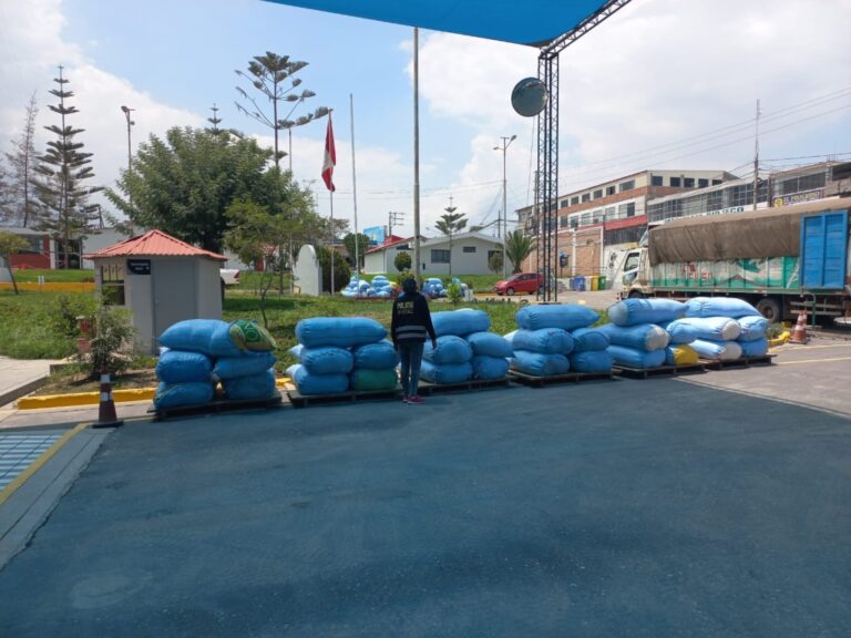 Incautan cinco toneladas de harina de soya de contrabando en Arequipa