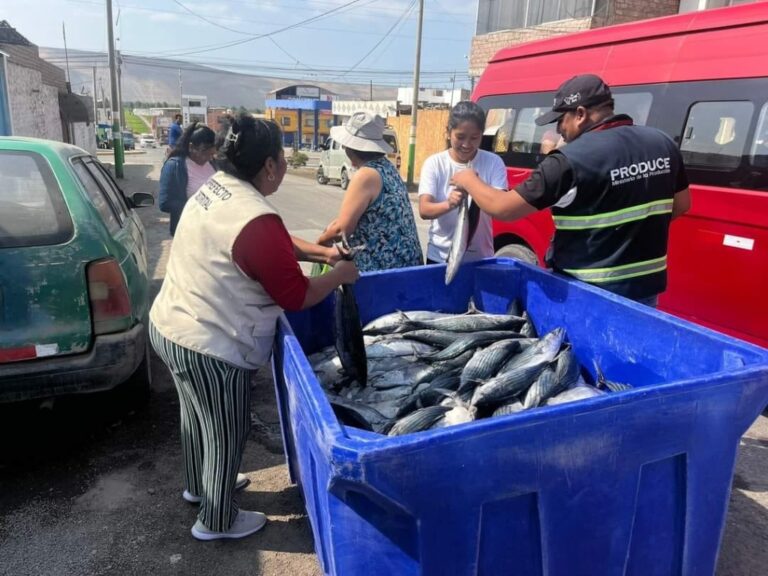 Entregan pescado gratis para pobladores cocachacrinos