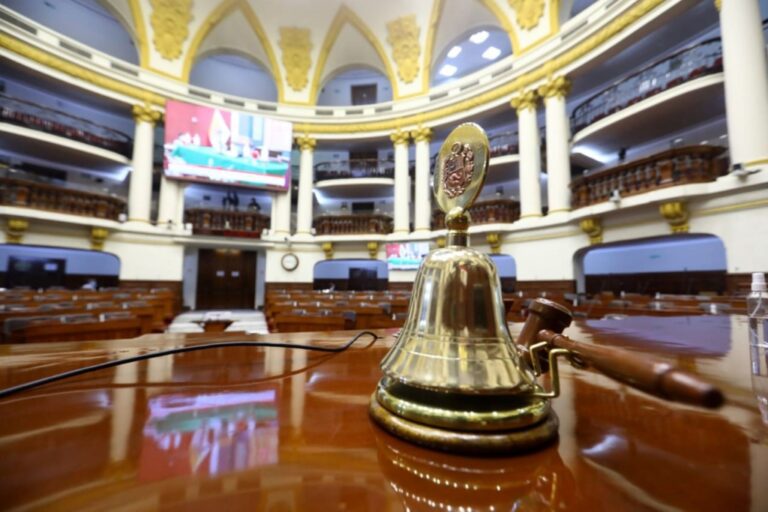 El Congreso y los delitos de lesa humanidad