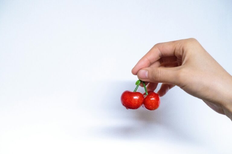 Los 3 pilares de la salud