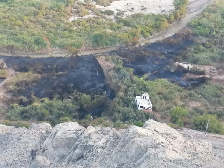 Bomberos trabajaron más de 8 horas para extinguir incendio forestal en el valle de Ilo