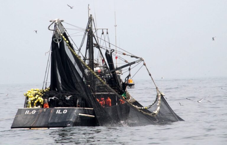 Autorizan inicio de primera temporada de pesca de anchoveta en 2024 en zona sur del Perú