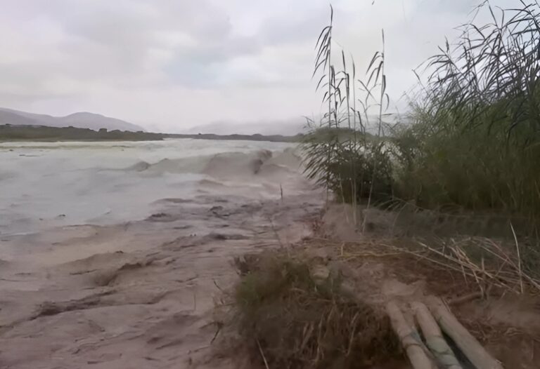 Agencia Agraria continúa atendiendo emergencia por aumento del caudal del río Tambo