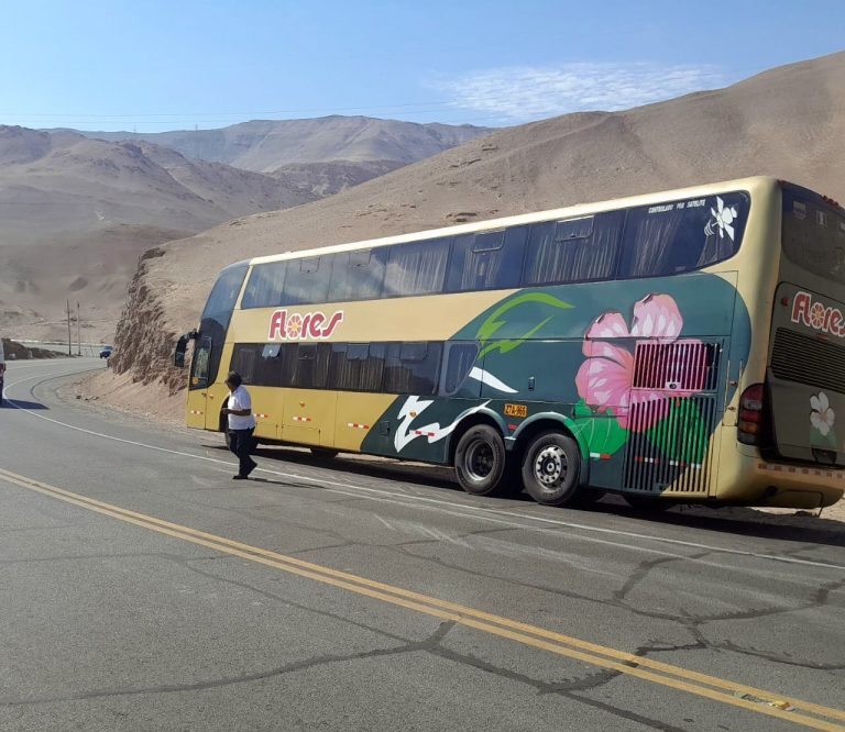Bus de Flores Hermanos choca con auto en la Panamericana Sur  