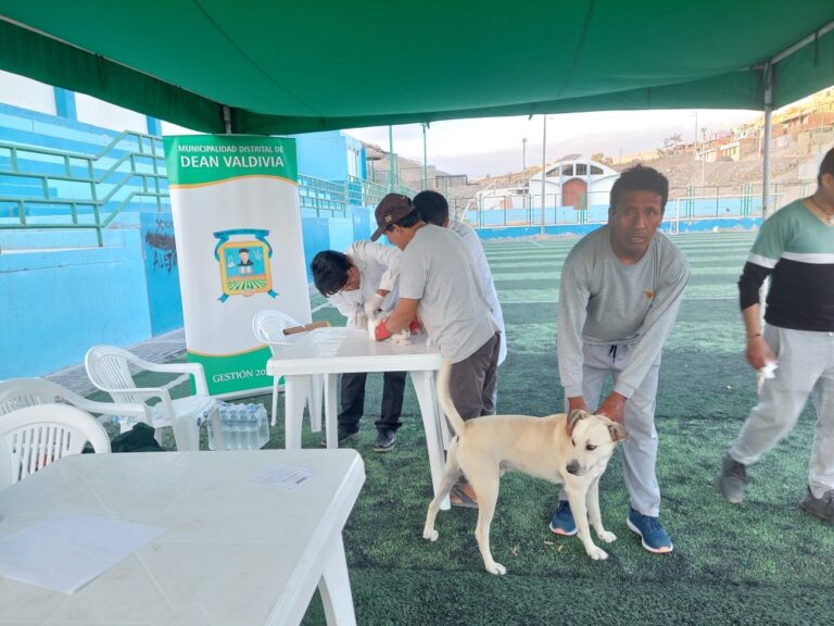 Desparasitan 500 mascotas en Deán Valdivia