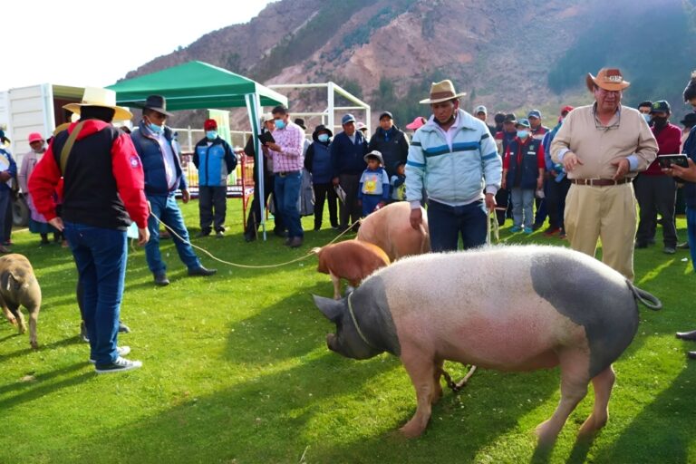 Este sábado 20 se realizará el primer Festival Porcino en Chucarapi
