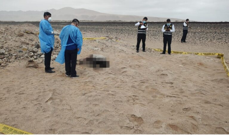 Ilo: Encuentran cadáver en estado de descomposición en descampado de la Pampa Inalámbrica 