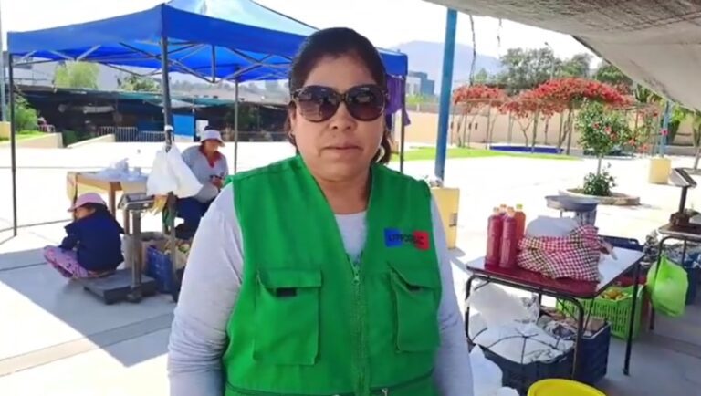 Comerciantes de General Sánchez Cerro piden un terreno para vender sus productos 