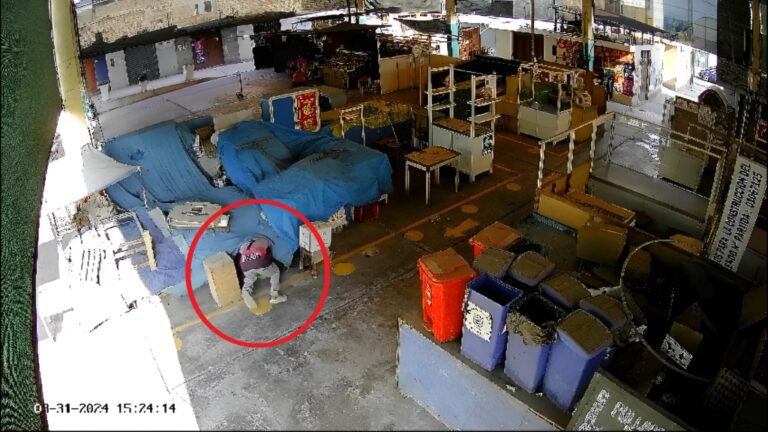 Conocido “Mamey” hurtó víveres de puesto de venta del mercado Balta