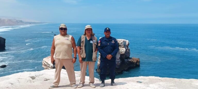 Capitanía de Puerto de Mollendo realizó constatación en punta La Chira