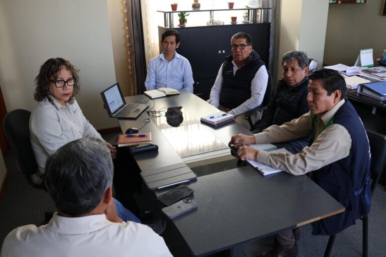 Reunión técnica para impulsar la planta de proyecto de tratamiento Yunguyo