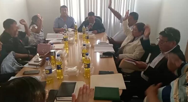 MPI: regidores aprobaron elaboración de ordenanza sobre el dengue